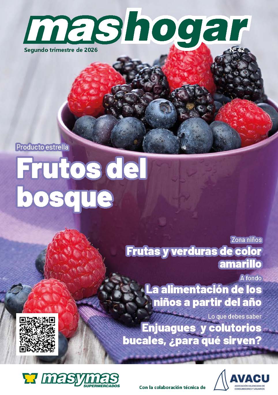 Revista Mashogar Nº62